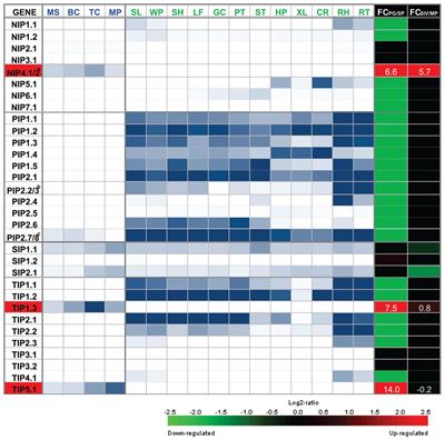 Pollen Aquaporins: The Solute Factor